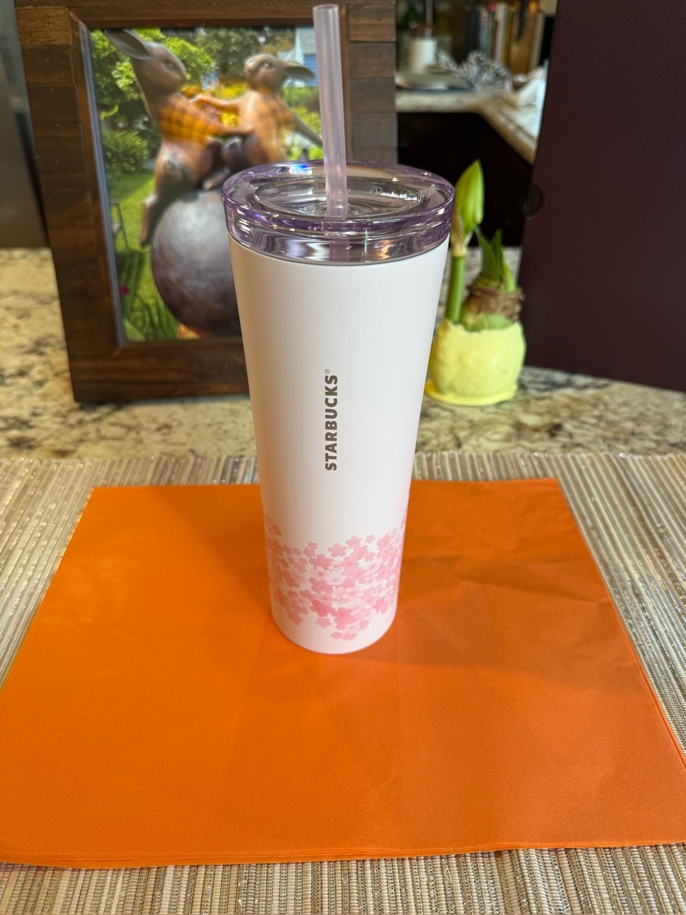 NEW Spring 2026 Starbucks Stainless Steel Cherry Blossom Cold Cup Tumbler, 24oz
